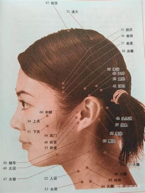 凤冠穴|二十大名穴图解